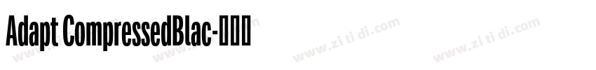 Adapt CompressedBlac字体转换 Adapt CompressedBlac字体转换